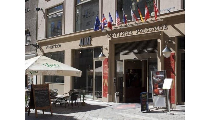 Art Hotel William poza 4