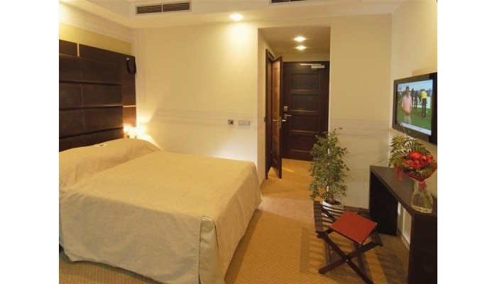 Art Hotel William poza 1