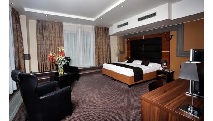 Art Hotel William poza 6