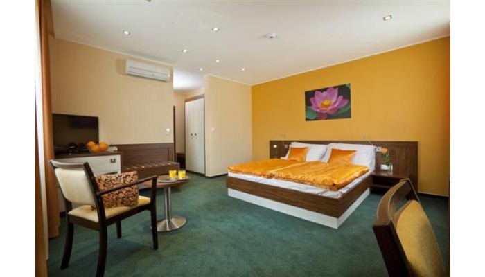 Viktor Hotel poza 8