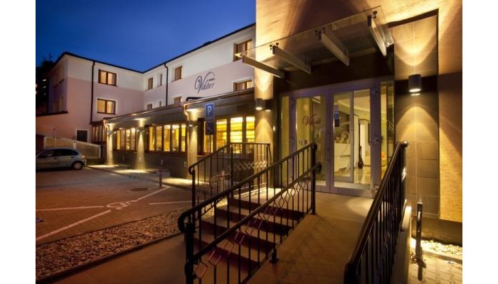 Viktor Hotel poza 9